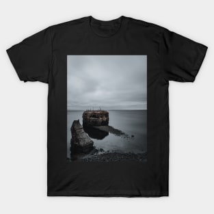 Blue Hour Pokeshaw Rock, New Brunswick Canada V3 T-Shirt